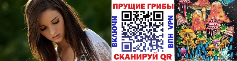 Галлюциногенные грибы Psilocybe  Тара 