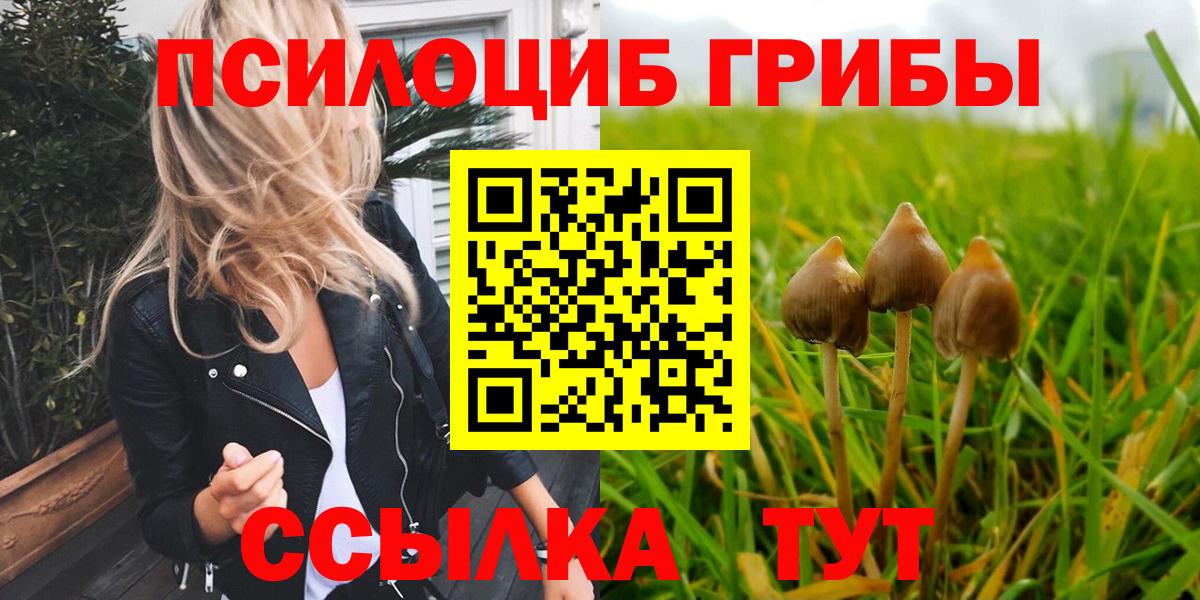 Галлюциногенные грибы GOLDEN TEACHER  Вход с VPN  Тара 