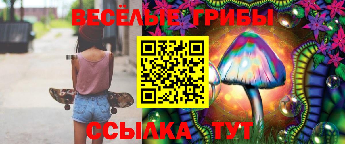Галлюциногенные грибы Cubensis Тара